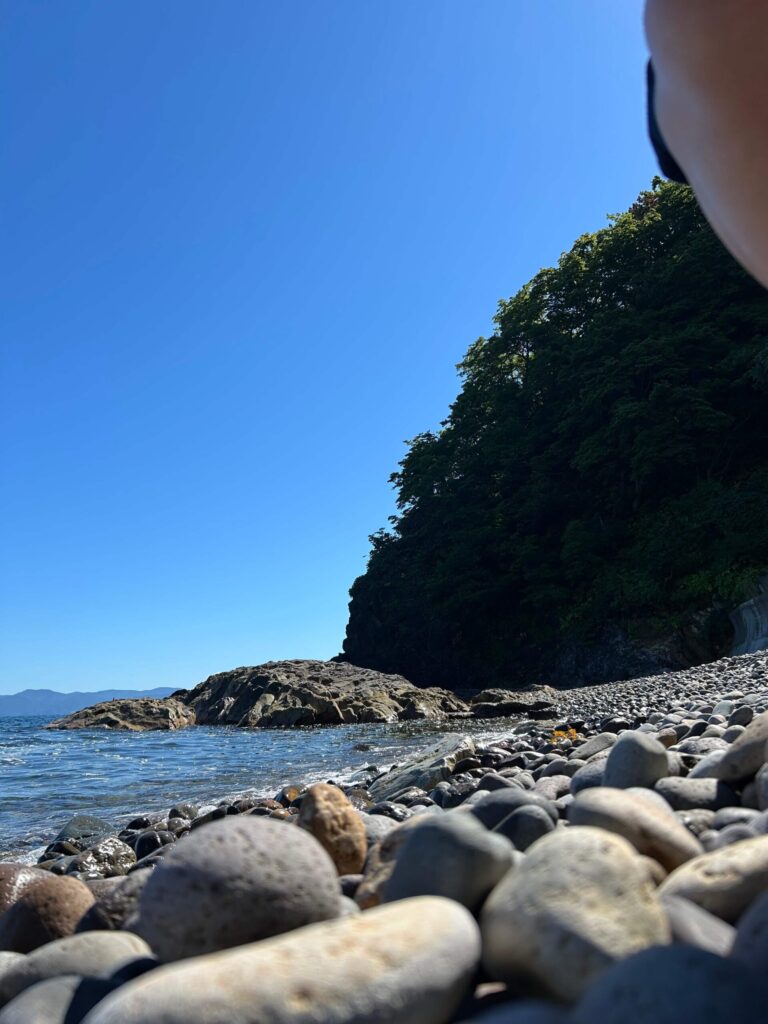 綱不知海岸の写真